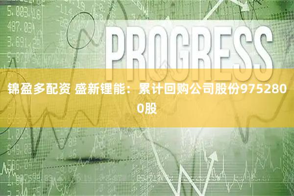锦盈多配资 盛新锂能：累计回购公司股份9752800股
