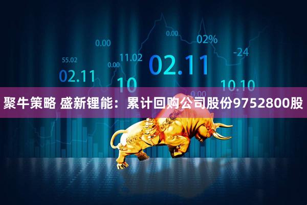 聚牛策略 盛新锂能：累计回购公司股份9752800股