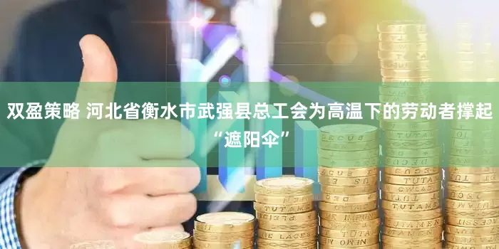 双盈策略 河北省衡水市武强县总工会为高温下的劳动者撑起“遮阳伞”
