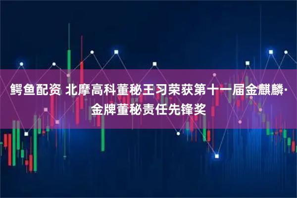 鳄鱼配资 北摩高科董秘王习荣获第十一届金麒麟·金牌董秘责任先锋奖