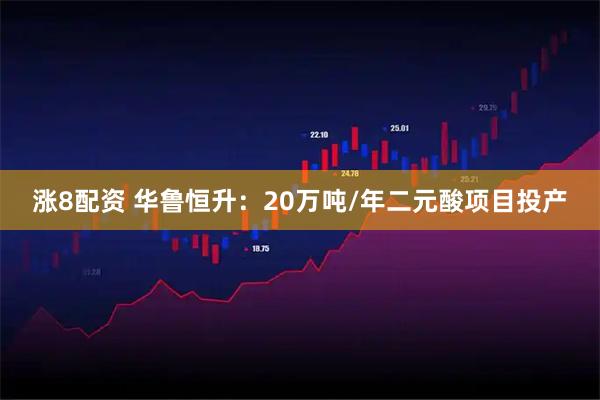 涨8配资 华鲁恒升：20万吨/年二元酸项目投产